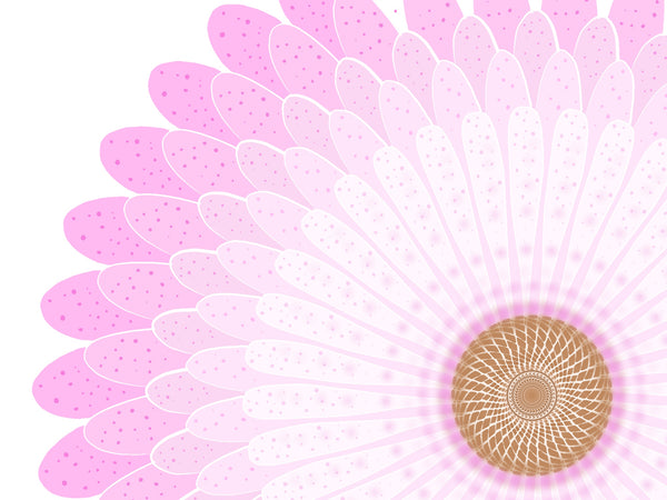 Set of 10 Geometric Flower Notecards